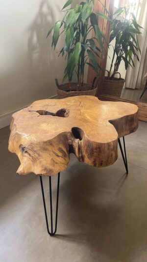 Mesa Orgânica